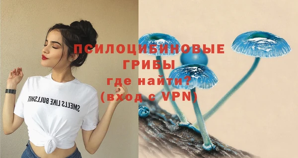 кокаин премиум Каменногорск