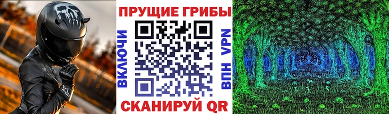 Галлюциногенные грибы ЛСД  где купить наркоту  Мурманск 