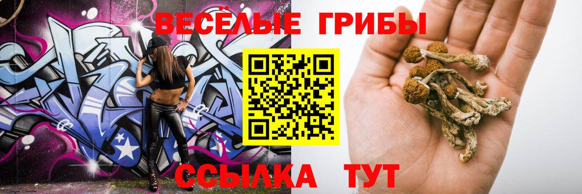 Псилоцибиновые грибы Psilocybine cubensis Мурманск