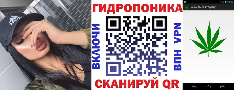 kraken   Мурманск  Каннабис семена 